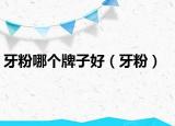 牙粉哪個(gè)牌子好（牙粉）