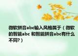 微軟拼音abc輸入風(fēng)格屬于（微軟的智能abc 和智能拼音abc有什么不同?）