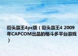 街頭霸王4pc版（街頭霸王4 2009年CAPCOM出品的格斗多平臺(tái)游戲）