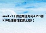 amd k1（有誰(shuí)知道為何AMD的K10處理器性能那么差?）