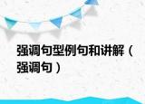 強(qiáng)調(diào)句型例句和講解（強(qiáng)調(diào)句）