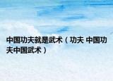 中國功夫就是武術(shù)（功夫 中國功夫中國武術(shù)）
