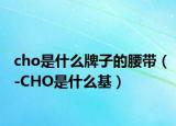 cho是什么牌子的腰帶（-CHO是什么基）