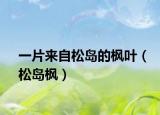 一片來自松島的楓葉（松島楓）