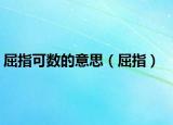 屈指可數(shù)的意思（屈指）