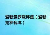 愛(ài)新覺(jué)羅載灃墓（愛(ài)新覺(jué)羅載灃）