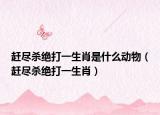 趕盡殺絕打一生肖是什么動(dòng)物（趕盡殺絕打一生肖）
