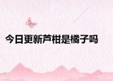 今日更新蘆柑是橘子嗎