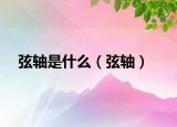 弦軸是什么（弦軸）