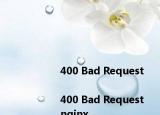 <html>
<head><title>400 Bad Request<title><head>
<body>
<center><h1>400 Bad Request<h1><center>
<hr><center>nginx<center>
<body>
<html>
