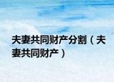 夫妻共同財產分割（夫妻共同財產）