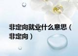 非定向就業(yè)什么意思（非定向）