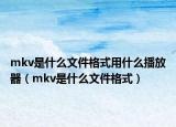 mkv是什么文件格式用什么播放器（mkv是什么文件格式）