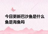 今日更新巴沙魚(yú)是什么魚(yú)是海魚(yú)嗎