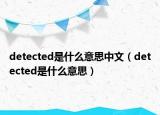 detected是什么意思中文（detected是什么意思）