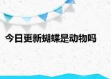 今日更新蝴蝶是動物嗎