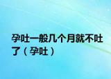 孕吐一般幾個(gè)月就不吐了（孕吐）