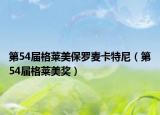 第54屆格萊美保羅麥卡特尼（第54屆格萊美獎）