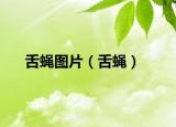 舌蠅圖片（舌蠅）