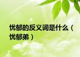 憂郁的反義詞是什么（憂郁弟）