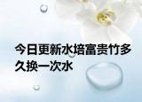 今日更新水培富貴竹多久換一次水