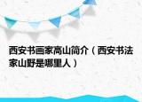 西安書畫家高山簡介（西安書法家山野是哪里人）