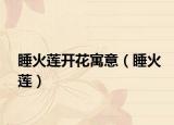 睡火蓮開花寓意（睡火蓮）