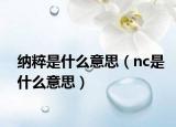 納粹是什么意思（nc是什么意思）