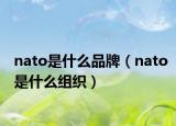 nato是什么品牌（nato是什么組織）