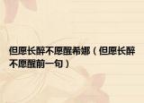 但愿長醉不愿醒希娜（但愿長醉不愿醒前一句）