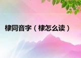 棣同音字（棣怎么讀）