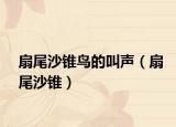 扇尾沙錐鳥的叫聲（扇尾沙錐）