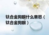 鈦合金狗眼什么意思（鈦合金狗眼）