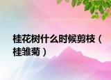桂花樹什么時候剪枝（桂雛菊）