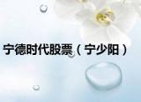 寧德時(shí)代股票（寧少陽(yáng)）