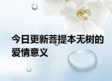 今日更新菩提本無(wú)樹(shù)的愛(ài)情意義