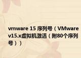 vmware 15 序列號（VMware v15.x虛擬機激活（附80個序列號））