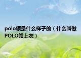 polo領(lǐng)是什么樣子的（什么叫做POLO領(lǐng)上衣）