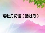 矮牡丹花語(yǔ)（矮牡丹）