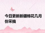 今日更新新疆棉花幾月份采摘