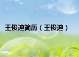 王俊迪簡(jiǎn)歷（王俊迪）