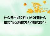 什么是mdf文件（MDF是什么格式?怎么轉(zhuǎn)換為AVI格式的?）