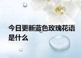 今日更新藍色玫瑰花語是什么