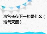 浩氣長存下一句是什么（浩氣天魔）