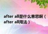 after all是什么意思?。╝fter all用法）