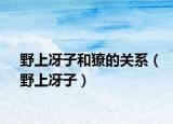 野上冴子和獠的關(guān)系（野上冴子）