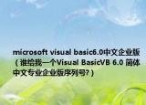 microsoft visual basic6.0中文企業(yè)版（誰給我一個Visual BasicVB 6.0 簡體中文專業(yè)企業(yè)版序列號?）