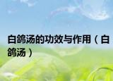 白鴿湯的功效與作用（白鴿湯）