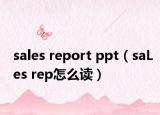 sales report ppt（saLes rep怎么讀）