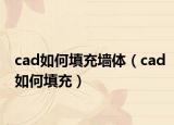 cad如何填充墻體（cad如何填充）